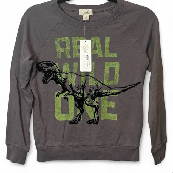 NWT-Peek Gray Dinosaur Graphic Kids Sweatshirt boys size 10 - Picture 1 of 4